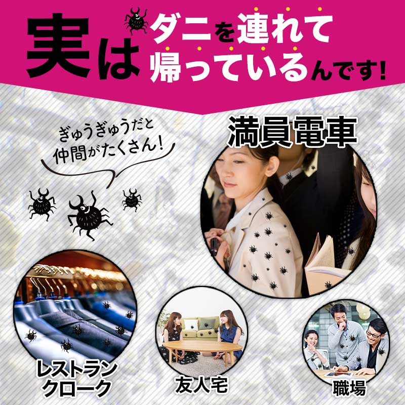 さよならダニー クローゼット用(4枚) PPパッケージ