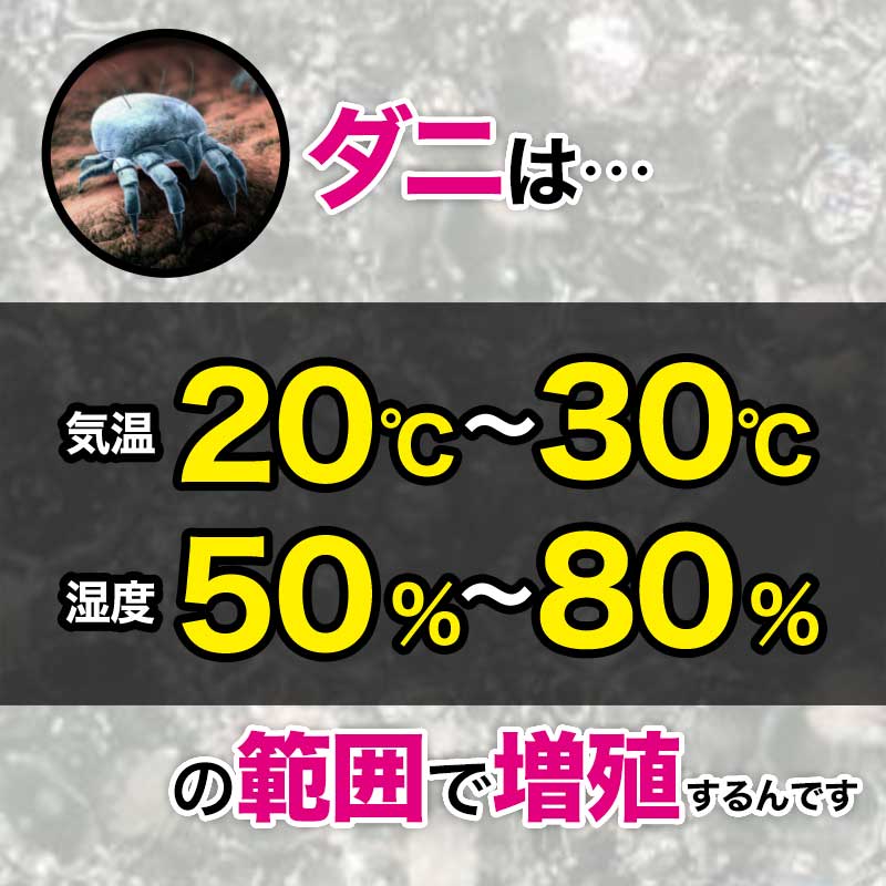 さよならダニー クローゼット用(4枚) PPパッケージ