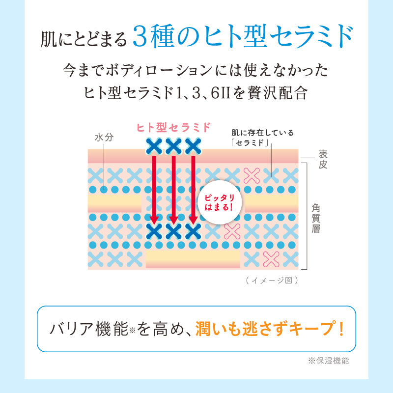 肌にとどまる3種のヒト型セラミド