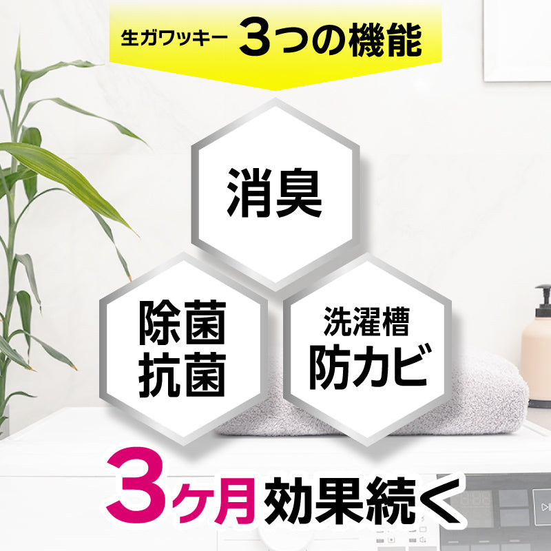 さよなら生ガワッキー